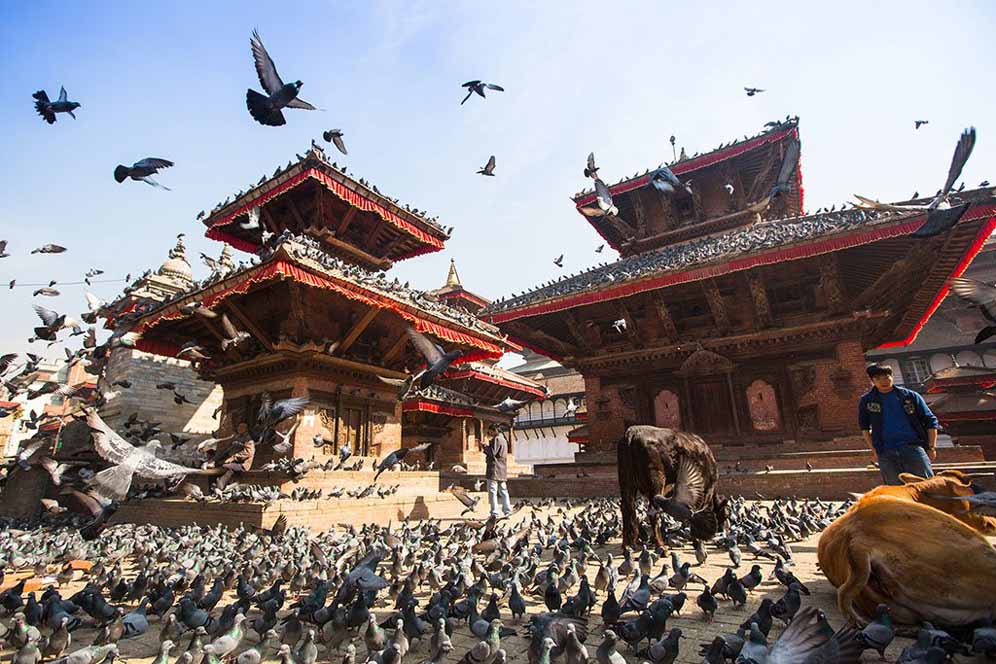 Nepal » Travelroute India- where your journey begins! Nepal - Hike on ...